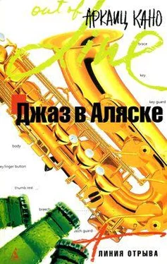 Аркаиц Кано Джаз в Аляске обложка книги