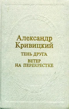 Александр Кривицкий Тень друга. Ветер на перекрестке обложка книги