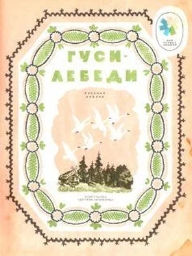 Неизвестный Автор gusi-006 обложка книги