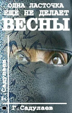 Герман Садулаев Одна ласточка еще не делает весны обложка книги