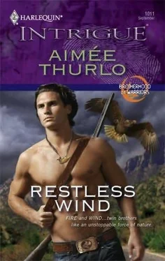 Aimée Thurlo Restless Wind обложка книги