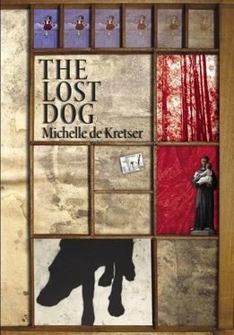 Michelle Kretser The Lost Dog обложка книги