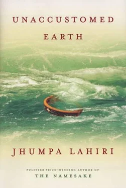 Jhumpa Lahiri Unaccustomed Earth обложка книги