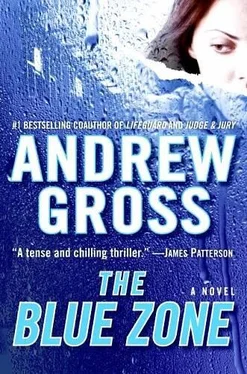 Andrew Gross The Blue Zone обложка книги