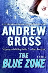 Andrew Gross - The Blue Zone