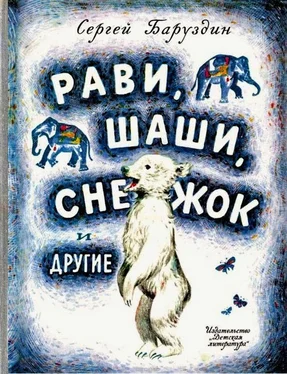 Сергей Баруздин Рави, Шаши, Снежок и другие обложка книги