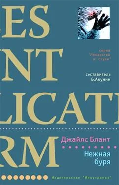 Джайлс Блант Нежная буря обложка книги