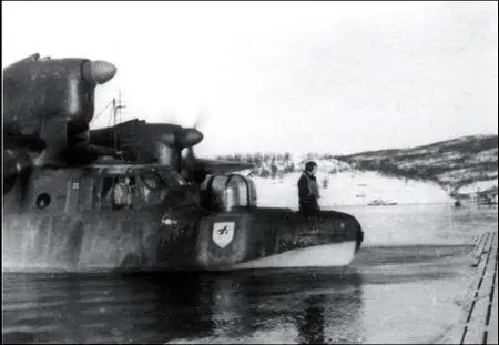 Bv142C1 командира 1й эскадрильи SAGr130 гауптмана КарлаХайнца Греве - фото 105