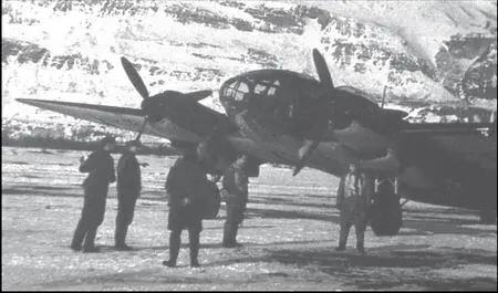 Не111Н 1BDH из Wekusta 5 на льду Исфьорда около поселка Лонгьёрбьен - фото 121
