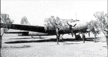 B17G 4239969 лейтенанта Поля из отделения Тоска совершивший вынужденную - фото 139