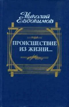 Николай Евдокимов Происшествие из жизни... обложка книги