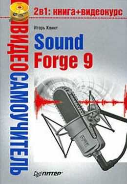 Игорь Квинт Sound Forge 9 обложка книги