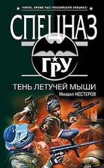 Михаил Нестеров - Тень летучей мыши