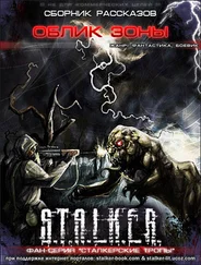 Александр Вороненко - Облик Зоны (Сборник)