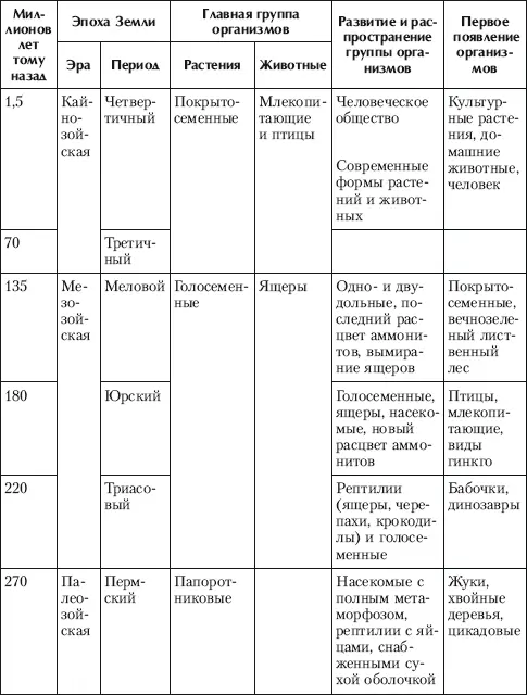 С начала эволюции эукариоты развивались двойственно то есть в них параллельно - фото 48