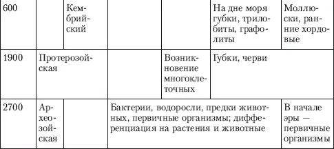 С начала эволюции эукариоты развивались двойственно то есть в них параллельно - фото 50