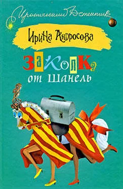 Ирина Андросова Заколка от Шанель обложка книги