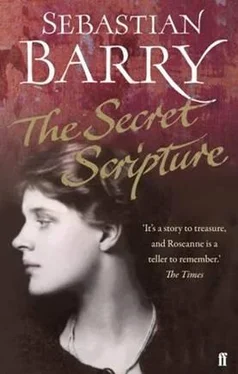 Sebastian Barry The Secret Scripture обложка книги