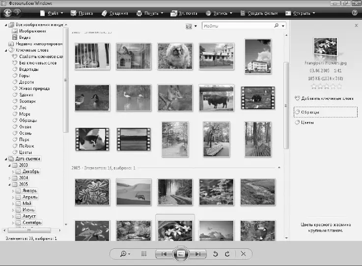 Рис 255Фотоальбом Windows Для удобного просмотра эскизов вы можете - фото 119