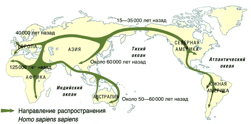 Направление распространения Homo sapiens sapiens Наскальные изображения Люди - фото 12