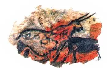 Они сделаны около 18000 лет назад красками изготовленными из природных - фото 13