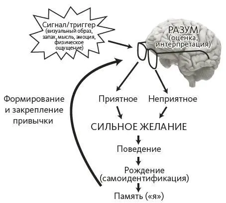 Упрощенная версия концепции взаимозависимого возникновения Авторские права - фото 3