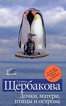 Галина Щербакова Женщина из прошлого обложка книги