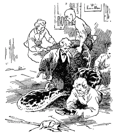 Сенная два Борька и Нина прошли через захламленный двор и обнаружили у - фото 12