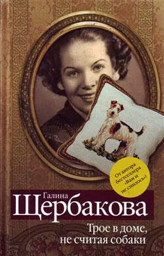 Галина Щербакова Аллочка и плотина обложка книги