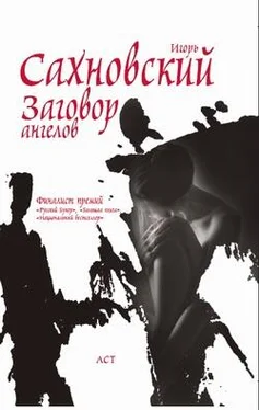 Игорь Сахновский Заговор ангелов обложка книги