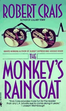 Robert Crais The Monkey's Raincoat обложка книги