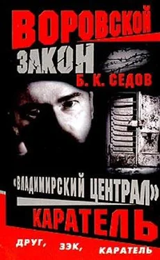 Б. Седов Каратель обложка книги