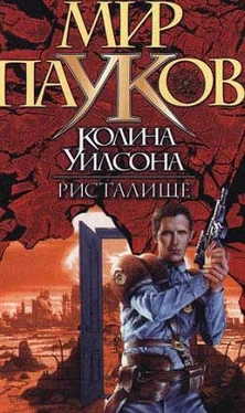 Нэт Прикли Ристалище обложка книги