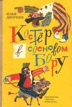 Илья Дворкин Костёр в сосновом бору: Повесть и рассказы обложка книги