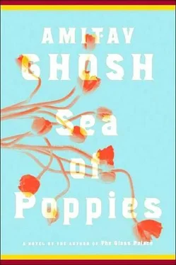 Amitav Ghosh Sea of Poppies обложка книги