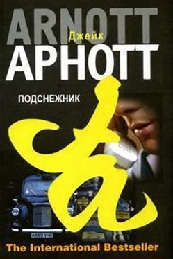 Джейк Арнотт Подснежник обложка книги