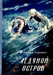 Алексей Кудашев - Ледяной остров