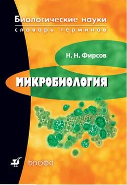 Николай Фирсов Микробиология: словарь терминов обложка книги