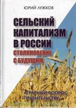 Юрий Лужков Сельский капитализм в России: Столкновение с будущим обложка книги