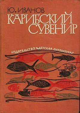 Юрий Иванов Карибский сувенир обложка книги