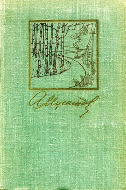 Алексей Мусатов Собрание сочинений в 3-х томах. Т. I. обложка книги