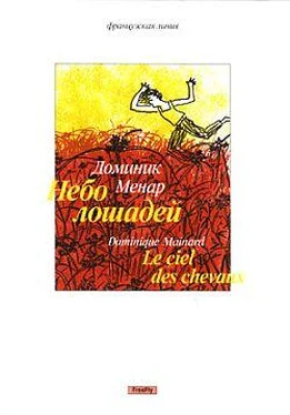 Доминик Менар Небо лошадей обложка книги