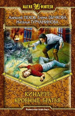 Наталья Турчанинова Кровные братья обложка книги