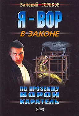 Валерий Горшков Каратель обложка книги