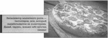 поедали горы еды которую сегодня считают мусором В дневной рацион братьев - фото 15