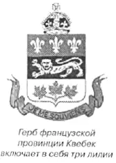 Считается что лилия это скаутский знак а скаутизм scout разведчик - фото 155