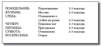 55 Это тренировка хороша для тех кто ограничен во времени Сессия может быть - фото 115