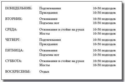 1 Делай подходы в течение дня как пожелаешь Как вариант сделай все за раз - фото 117