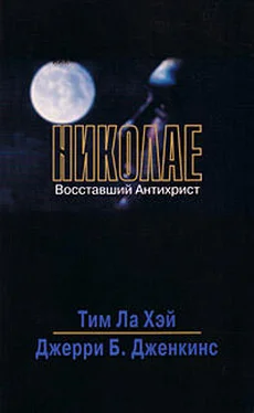 Тим Хэй Николае обложка книги