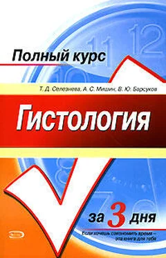 Т. Селезнева Гистология. Полный курс за 3 дня обложка книги